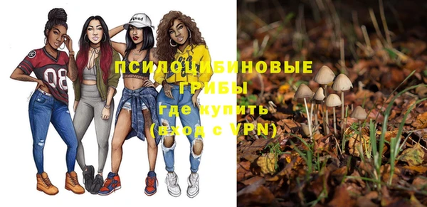 прущая мука Нязепетровск