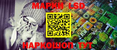гидропоника Донской