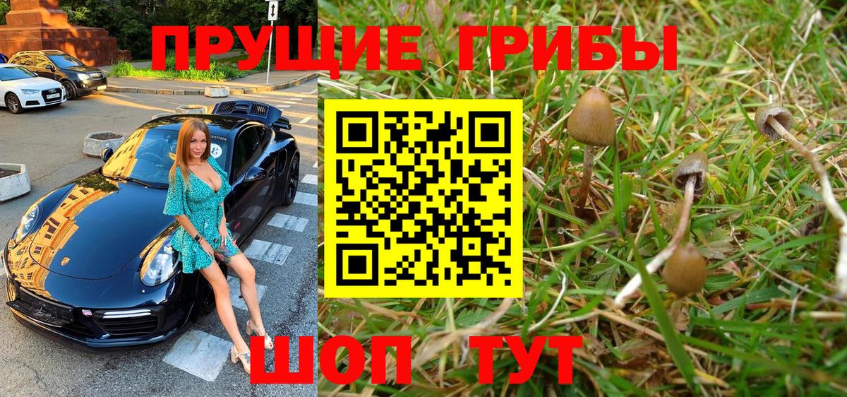 наркота  Вход с VPN  Скопин  Галлюциногенные грибы Psilocybine cubensis 