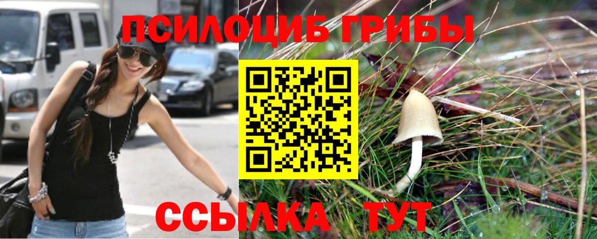 Галлюциногенные грибы мухоморы Скопин