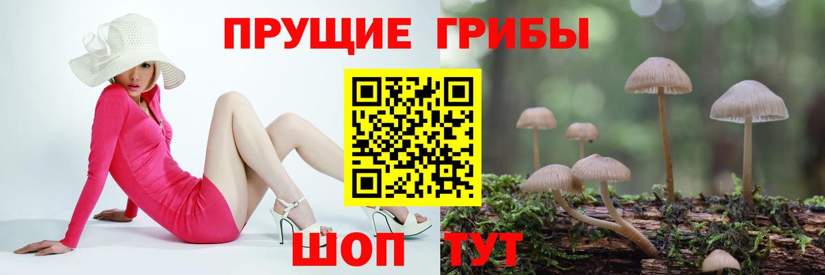 Галлюциногенные грибы Cubensis  Скопин 